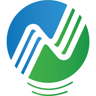 NOIS logo